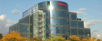 snc2.jpg